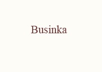 Логотип Businka