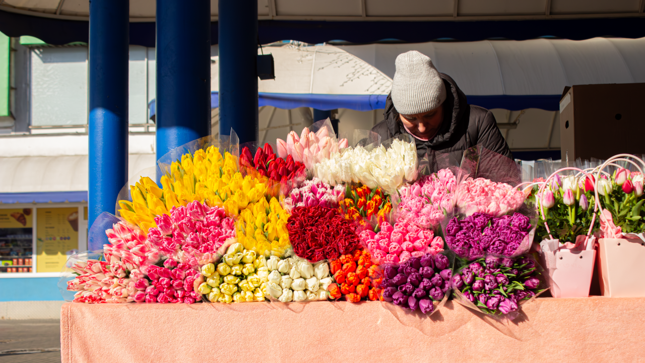 «Потеря урожая – 40 %». Продавцы тюльпанов рассказали, почему не будут снижать цены (МНОГО ФОТО)