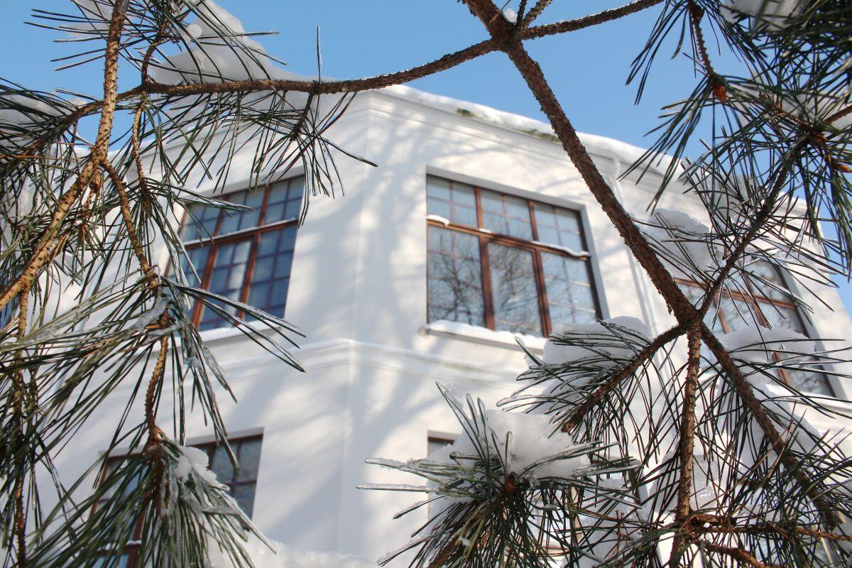 Путешествие в белорусский Париж: насладитесь искусством и вкуснейшими чебуреками