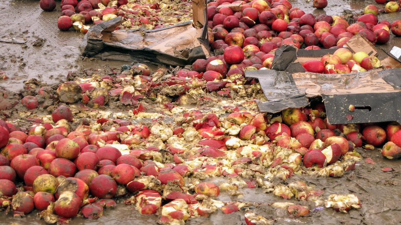 В России уничтожили фрукты и овощи, которые ввезли из Беларуси