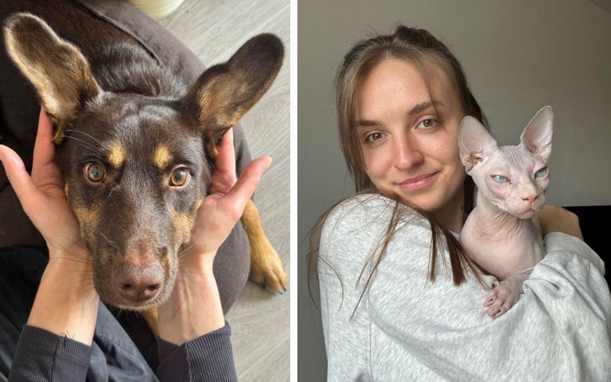 «Только на сайт потратили $12 тысяч». Можно ли заработать на передержке животных? 