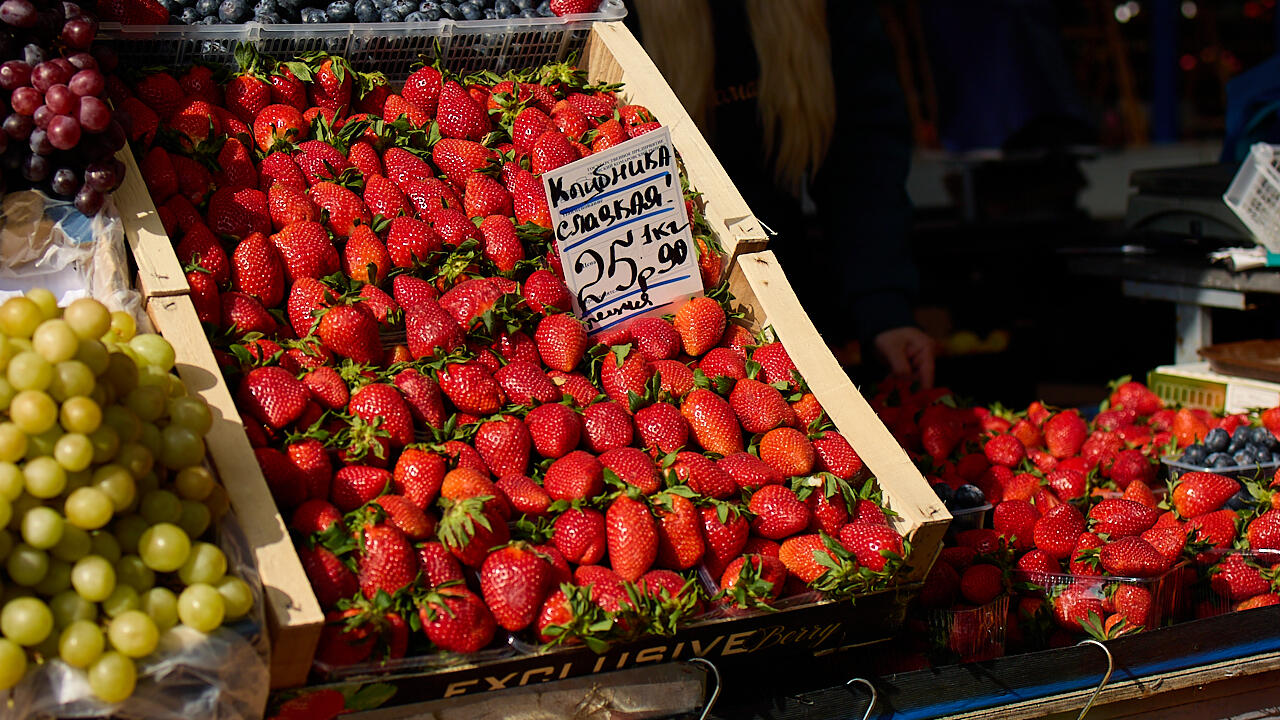 Голубика по 45 рублей, кабачки по 8, редиска по 17: узнали цены на весенней Комаровке