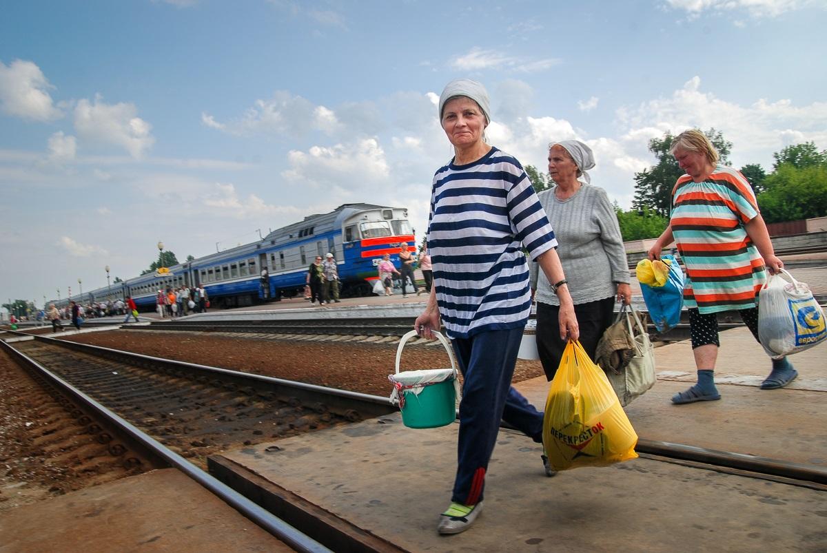 Черничный» бизнес. Уборщица из Бобруйска рассказала, сколько заработала на  ягодах