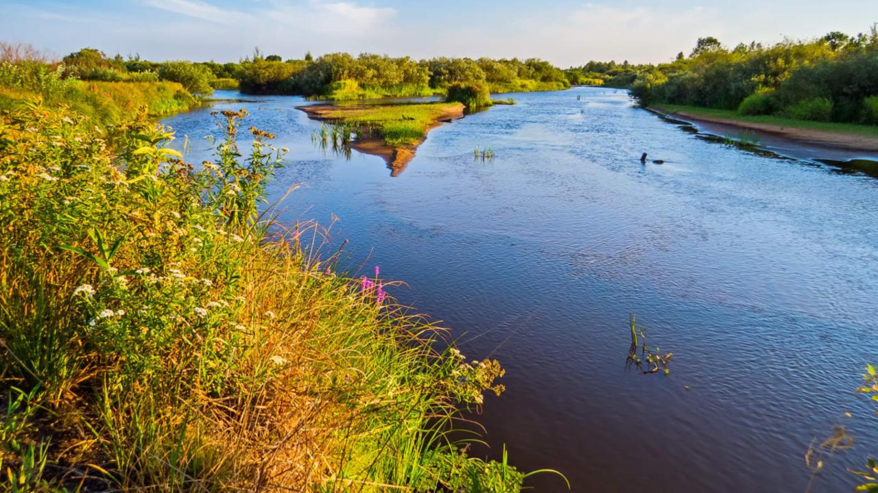 Река беларуси фото