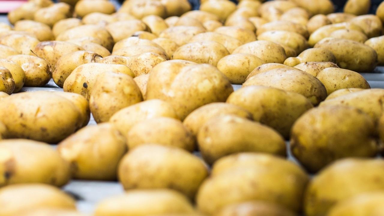 Деньги, выделенные НАН на космическую систему, направят на ...