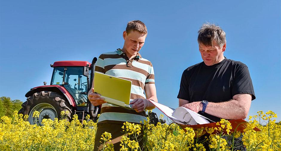 Вакансии с зарплатой 13 000 BYN в регионах: кого ищут и что надо уметь?