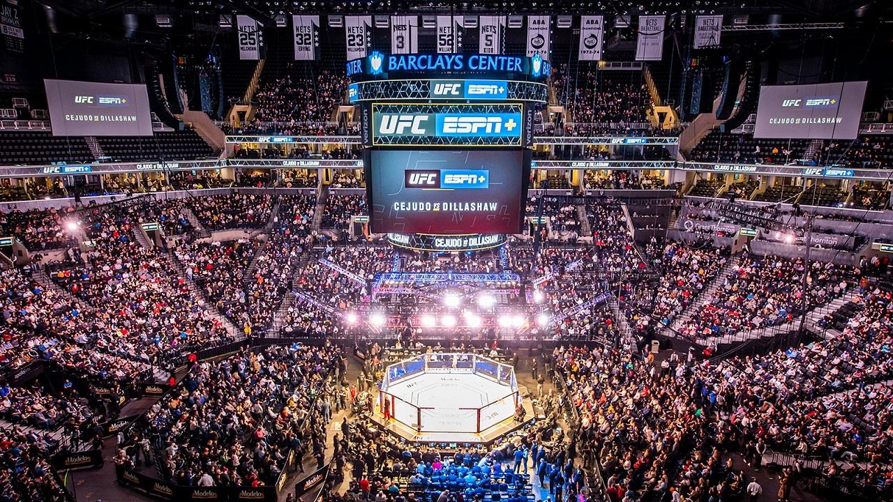 UFC и WWE объединятся – новая спортивная империя станет второй по размеру в мире