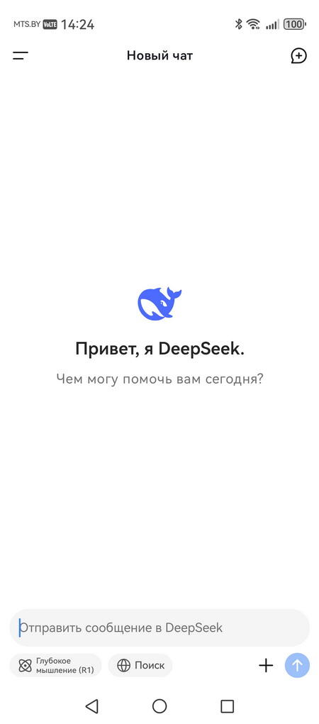 Нейросеть DeepSeek