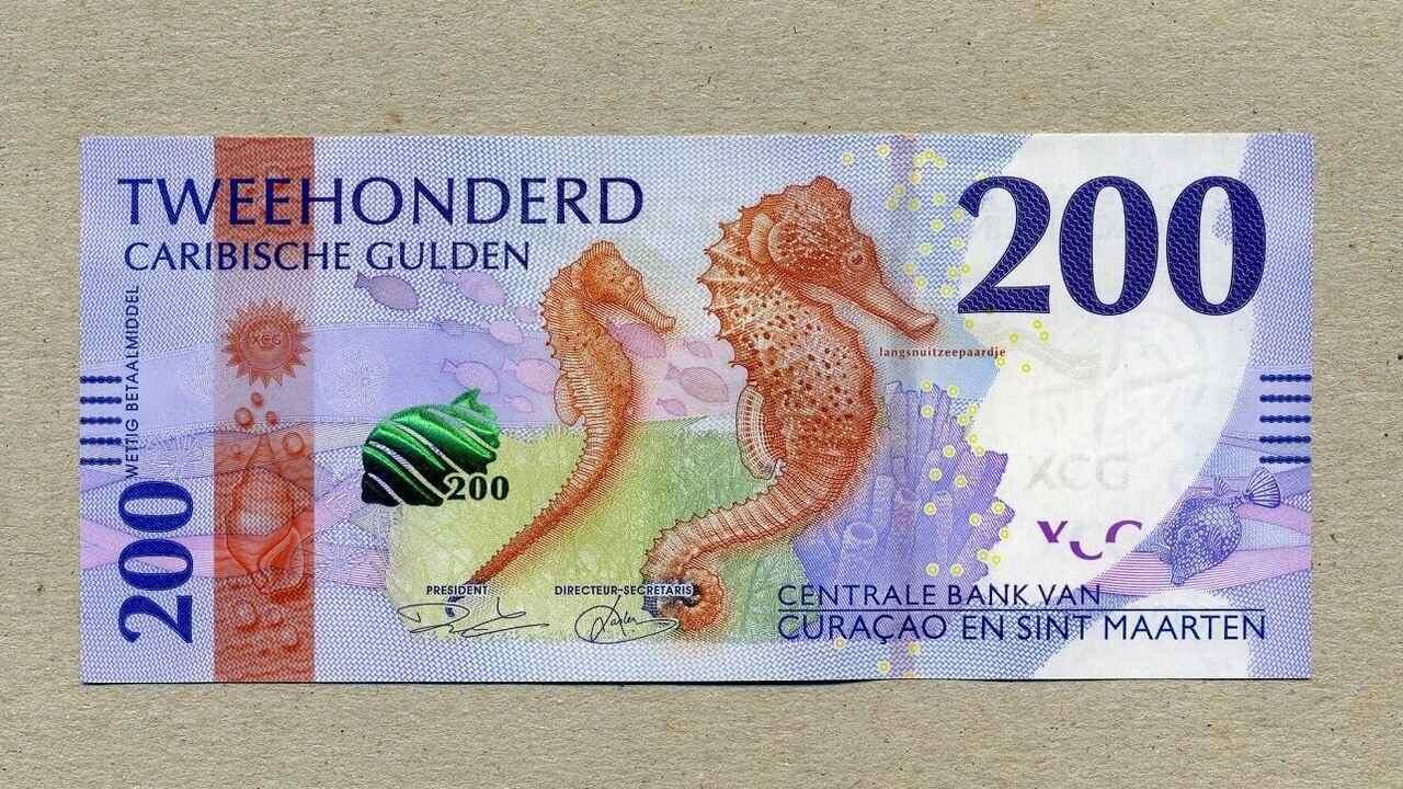 Названы самые красивые банкноты мира: какая купюра победила