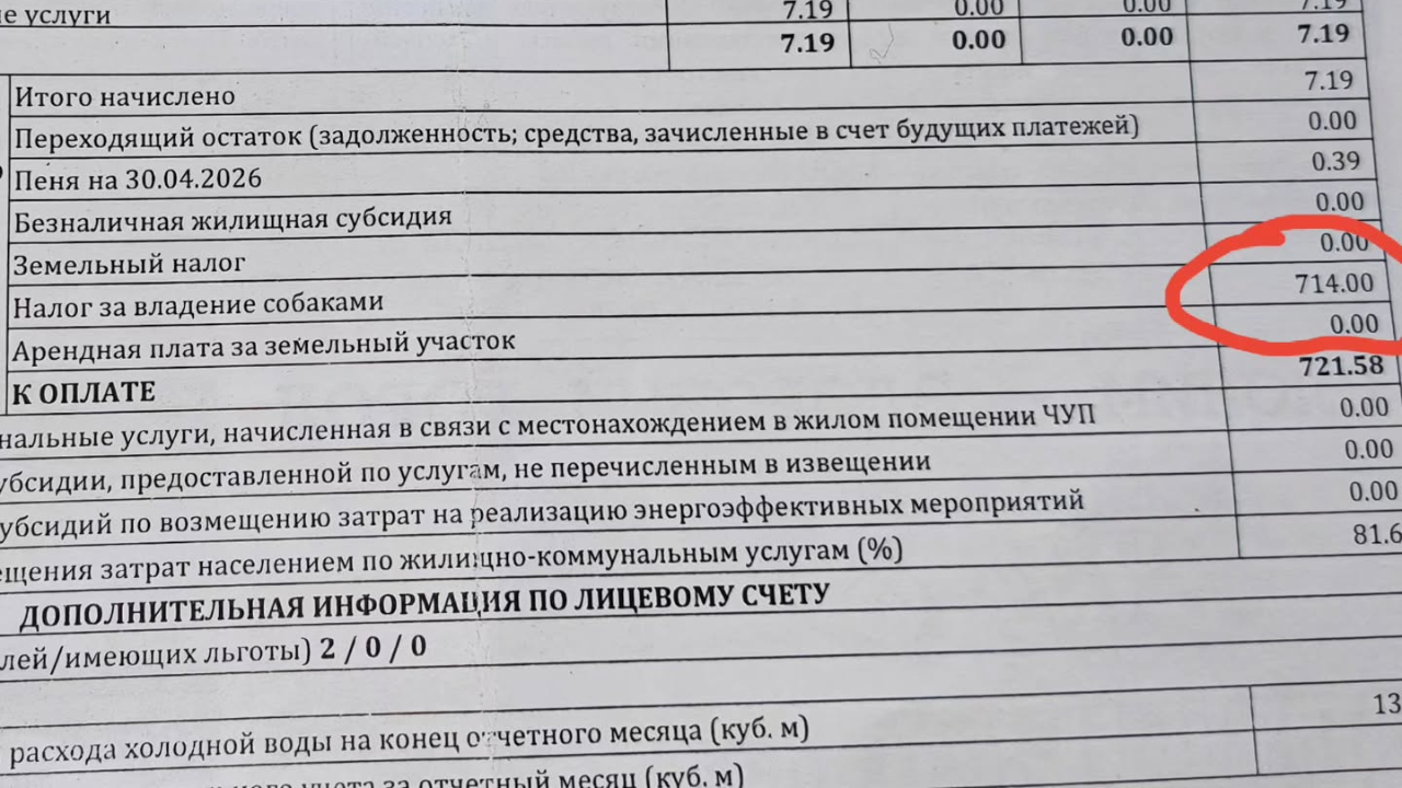 Белоруске выставили счет в 714 BYN – налог за владение собаками. Почему так много