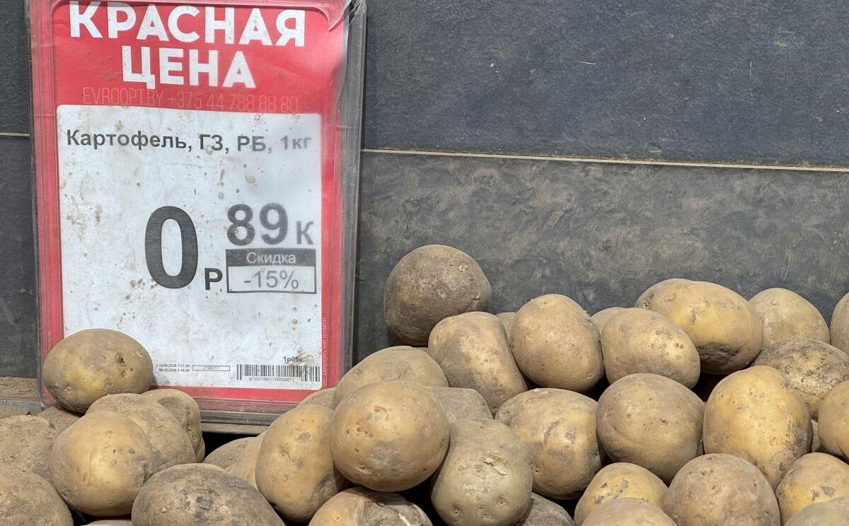 Покупали продукты только на скидках. Сколько удалось сэкономить?