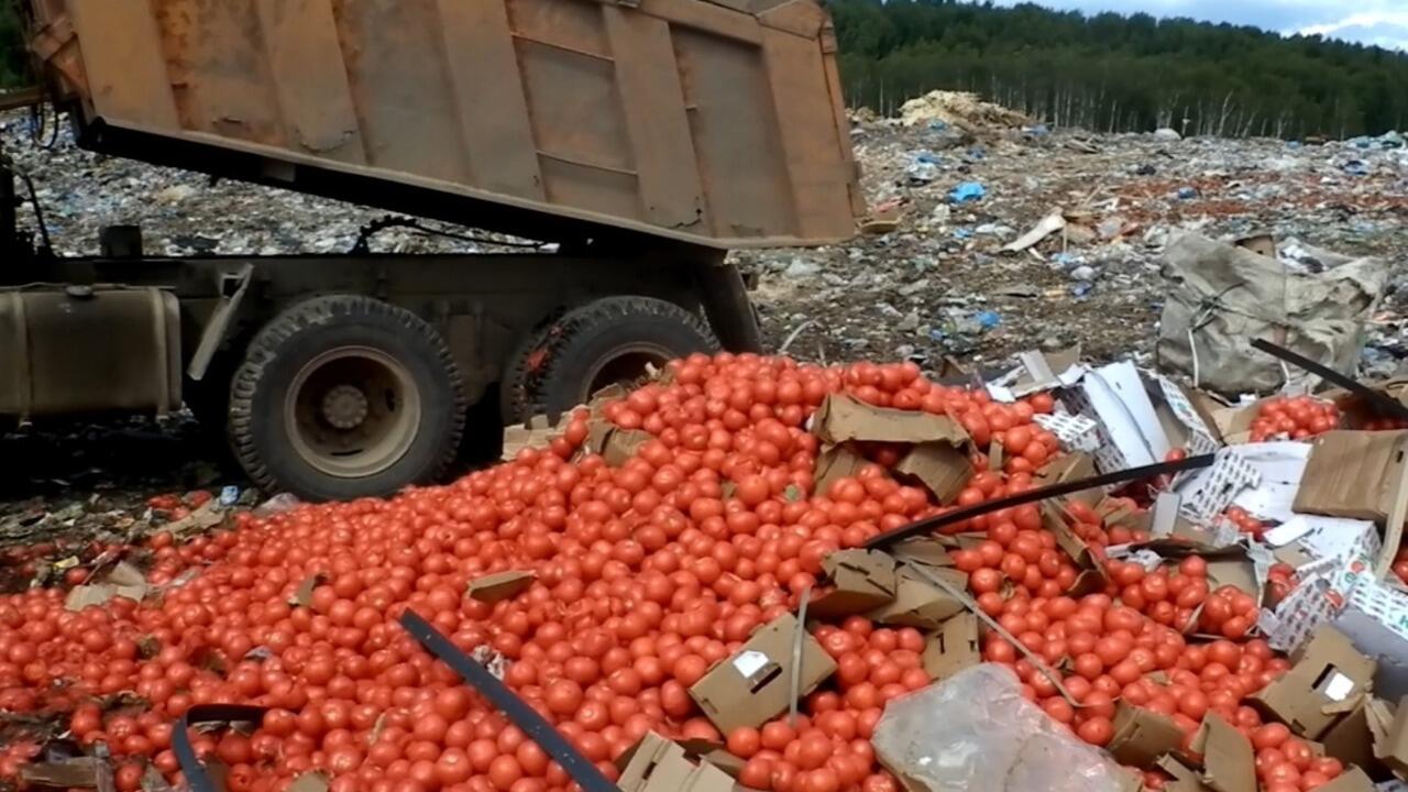 Груз с томатами для Беларуси уничтожили после обнаружения вируса