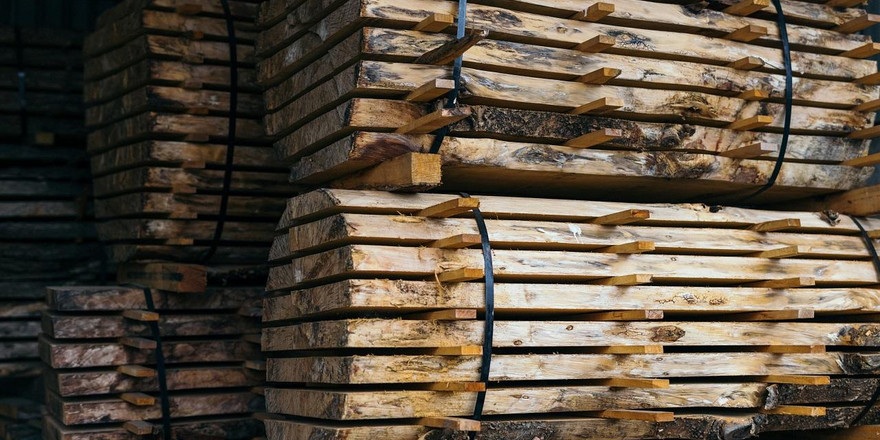 Власти разрешат физлицам покупать деловую древесину напрямую в лесхозах