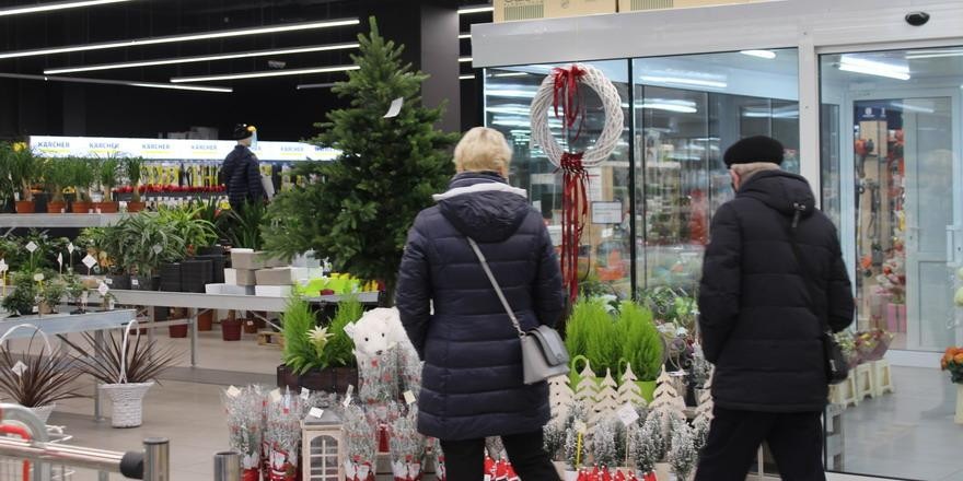 Какими будут цены новогодних елок?