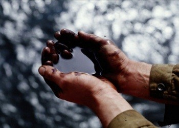 Черное золото вновь упало в цене