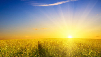 Чего ждать в июле?