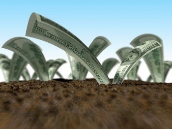 Валютные вклады: ставки достигли 8% годовых