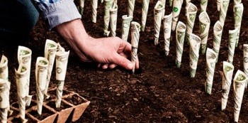 Вклады в долларах и евро: доходность достигла 7% годовых