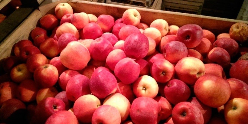 Беларусь импортировала в Россию в 5 раз больше яблок и грибов, чем вырастила
