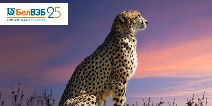 Участвуйте в акции по кредиту «Спрынтар»