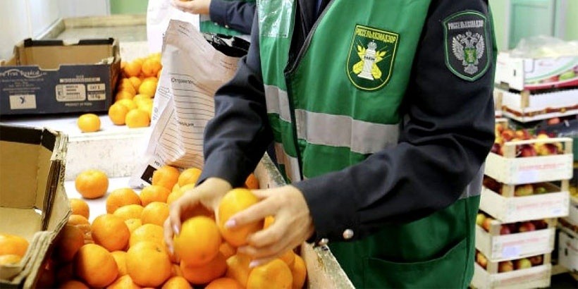 Белорусское МВД начало проверки по действиям Россельхознадзора