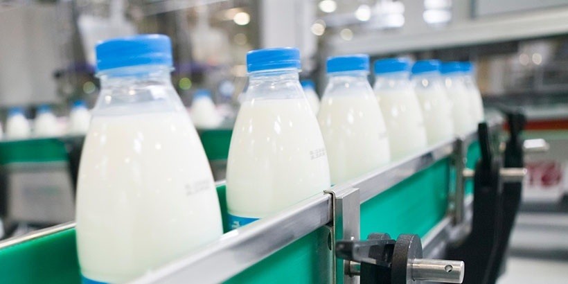 «Молочный мир» в июле выйдет на китайский рынок