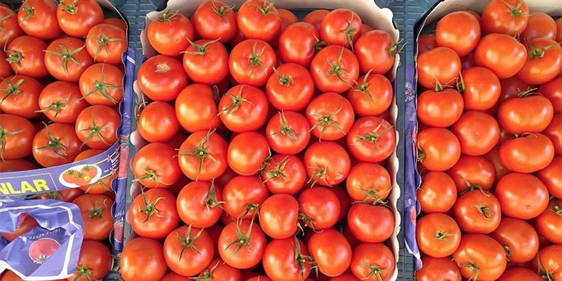 Россия попросила Беларусь не поставлять ей африканские томаты