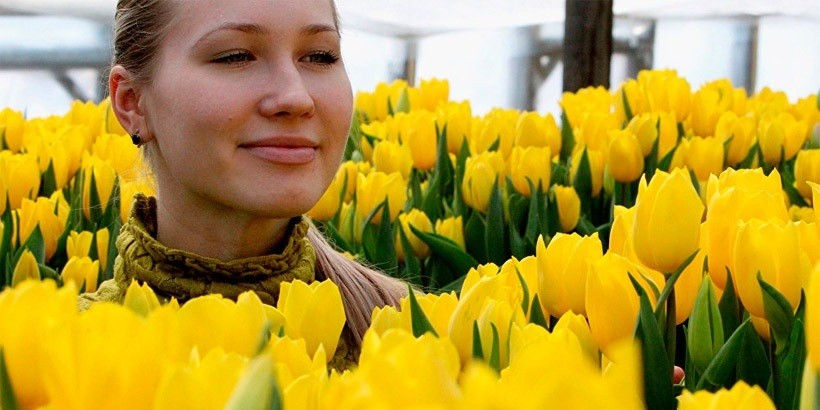 Мужчины рассказали о расходах на 8 Марта