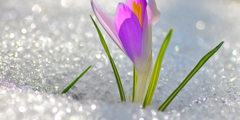 Поздравление с 8 Марта от Myfin.by