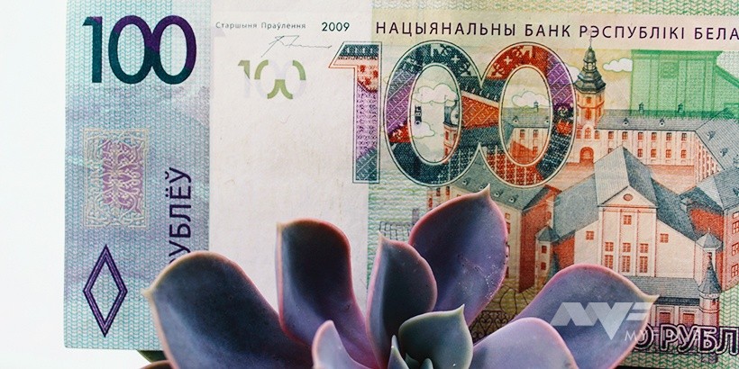 Сбор на воздух и безработных: какие налоги платят в соседних странах