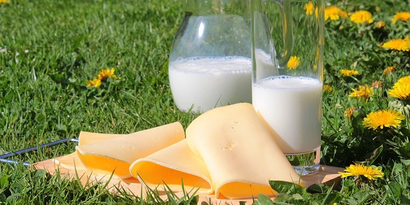 Беларусь вошла в четверку мировых экспортеров сыра и творога