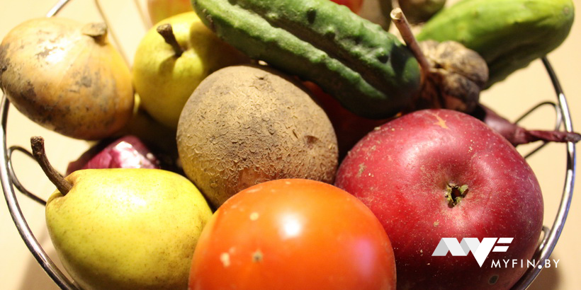 Сколько можно сэкономить, если покупать продукты оптом?