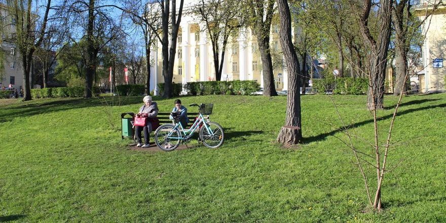 Когда в Беларуси запустят добровольное пенсионное страхование?
