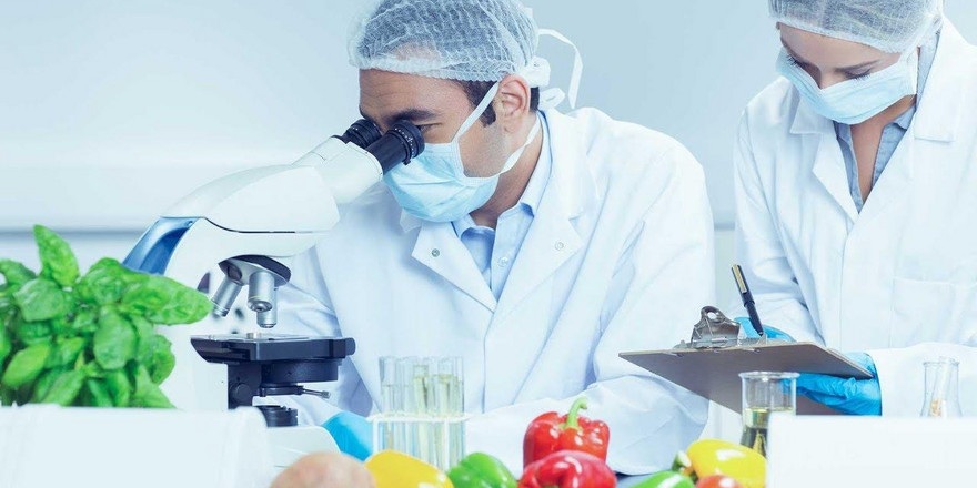 От кильки до сладостей: реестр опасной продукции пополнился новыми товарами