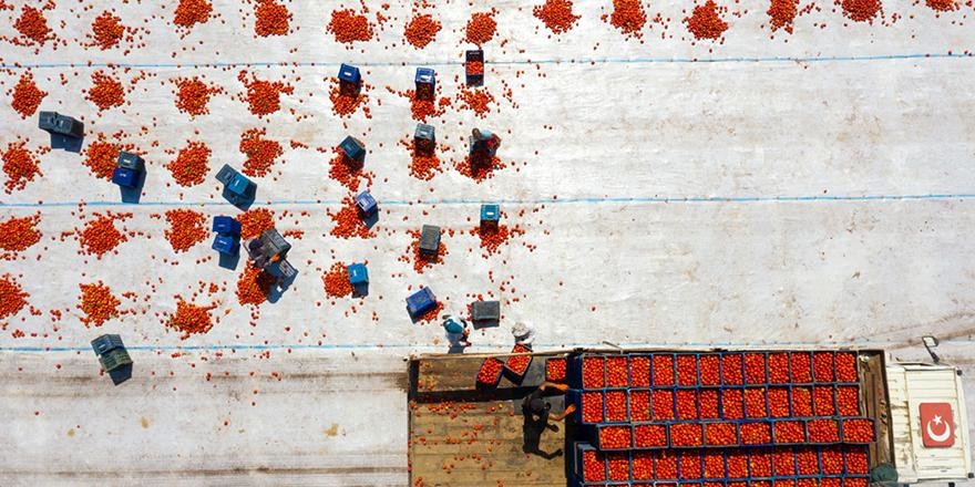 Нужно ли вам подавать декларацию о доходах? Рассказываем, как это сделать