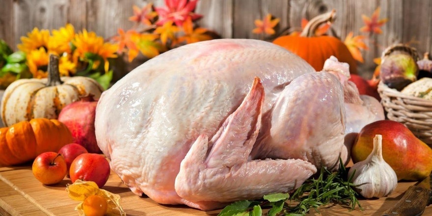 Беларусь вошла в топ-5 покупателей российского мяса индейки