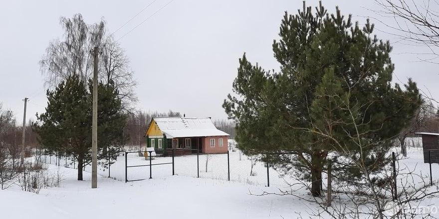 Огород против кризиса. Топ-6 хороших домов под Минском