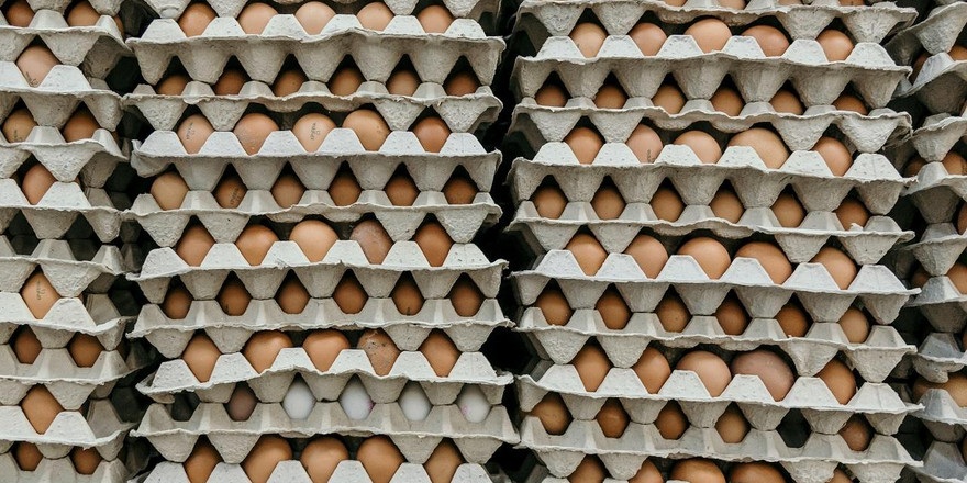 В январе-мае поставки белорусских продуктов в страны дальнего зарубежья выросли почти на 70%