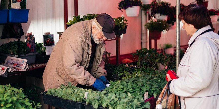 «Откладывать не с чего»: как живут и на что тратят деньги пенсионеры