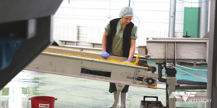 Белстат: какую зарплату получили белорусы в октябре?