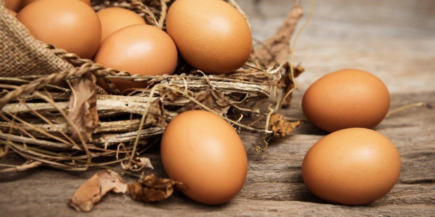 Сколько Беларусь зарабатывает на экспорте яиц
