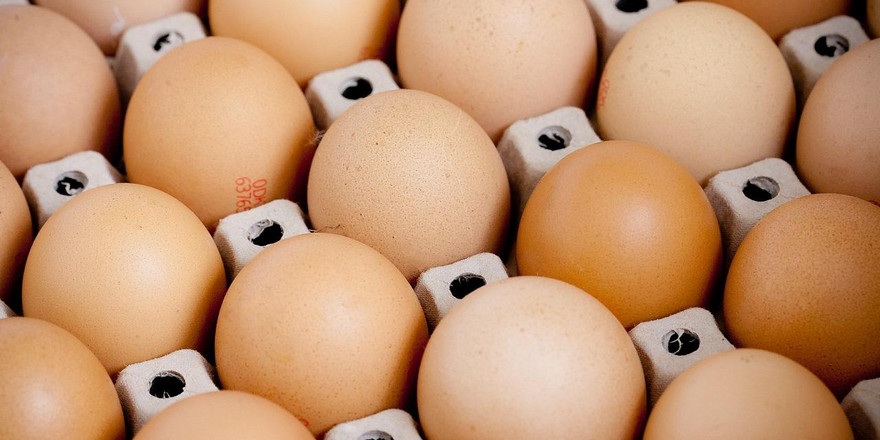 СМИ: Беларусь ограничивает поставки птицы, яиц и молочной продукции за рубеж