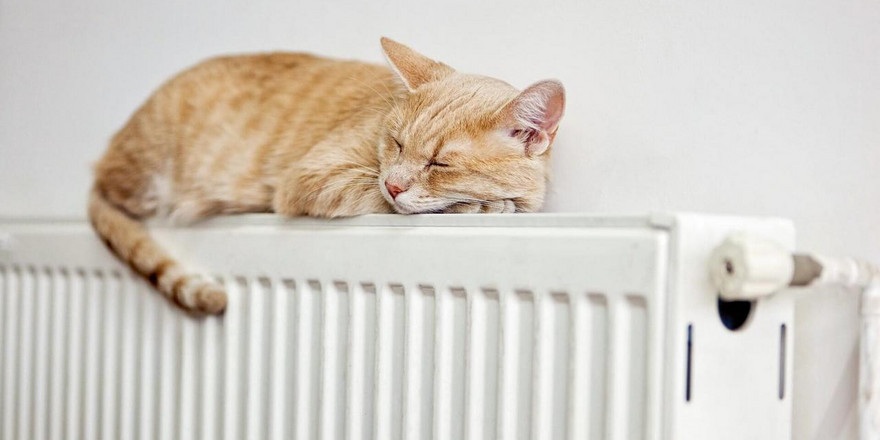 В Минске начали включать отопление в жилых домах: кому повезло, а кому ждать еще 10 дней