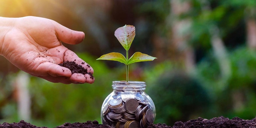 В Беларуси посчитали затраты на охрану окружающей среды