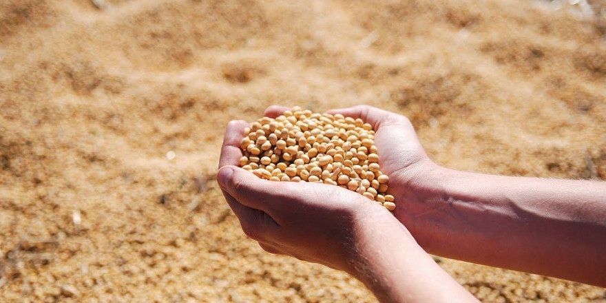 Совмин расширил регулирование цен при закупках в АПК