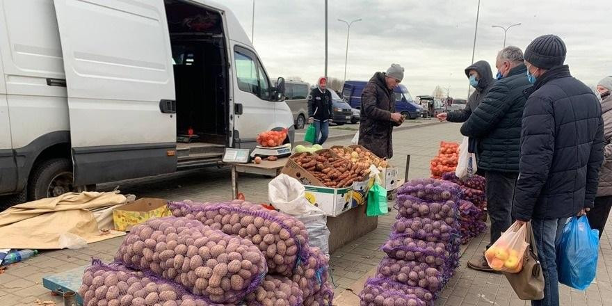 Почем «борщевой набор», рыжики и веник из полыни? Репортаж с главной осенней ярмарки