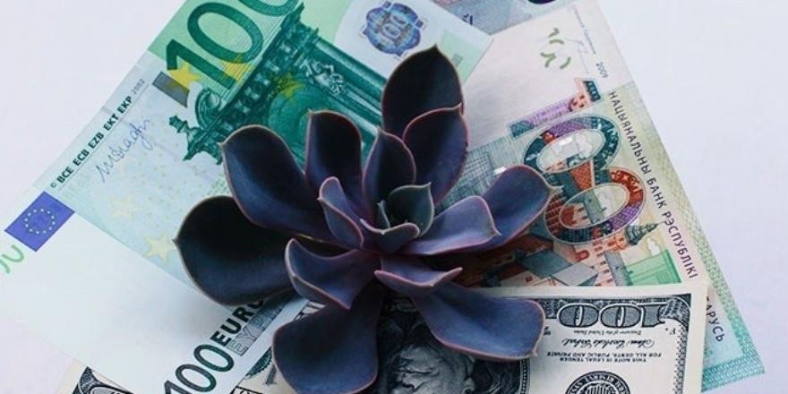 Курсы валют на 22 июля 2021: время покупать подешевевшие доллары