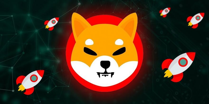 Shiba Inu прибавил 777% за 30 дней. Рассказываем о популярной монете и стоит ли в нее инвестировать