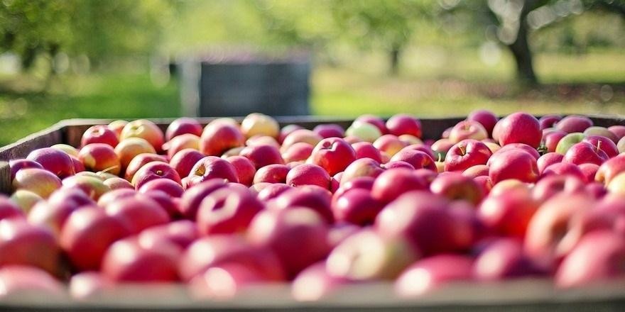 Говорят, с яблоками в этом году не задалось. Что с ценами у нас и у соседей?