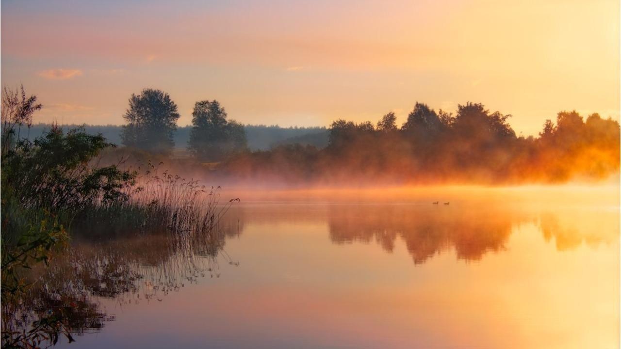 Заморозки, дождь и мокрый снег – прогноз погоды по Беларуси на 3 дня